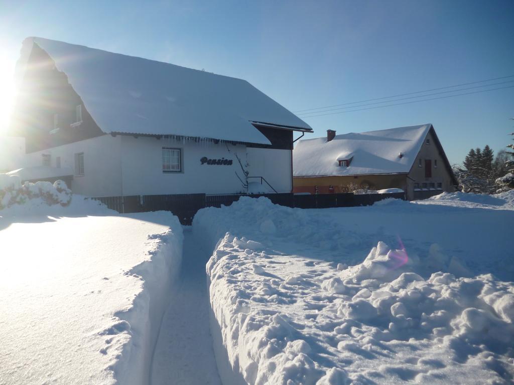 Pension Pugner Vysoke nad Jizerou Exterior photo